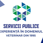 Servicii Publice